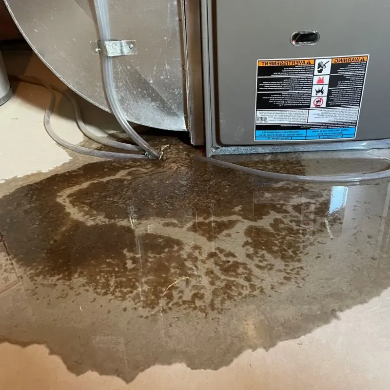 Pipe Burst and Leak Restoration in Hanson, MA