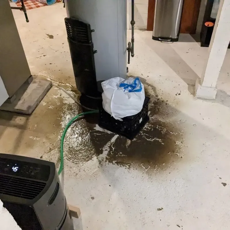 Sewage Backup Cleanup Service in Hanson, MA